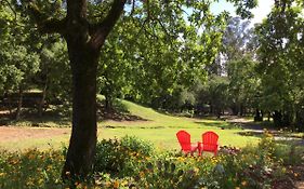 Amitabha Wine Country Cottage